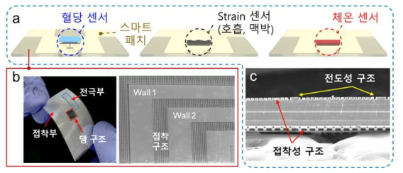 (a) 생체신호센서 시스템 Type A을 위한 스마트 패치-생체신호센서 구성 모식도 (b) 혈당 센서를 위한 스마트 패치의 미세구조 패턴 및 댐 구조의 주사전자현미경 이미지 (c) 생체신호센서 시스템 Type A의 스마트 패치 양면 접착 구조의 주사전자현미경 이미지