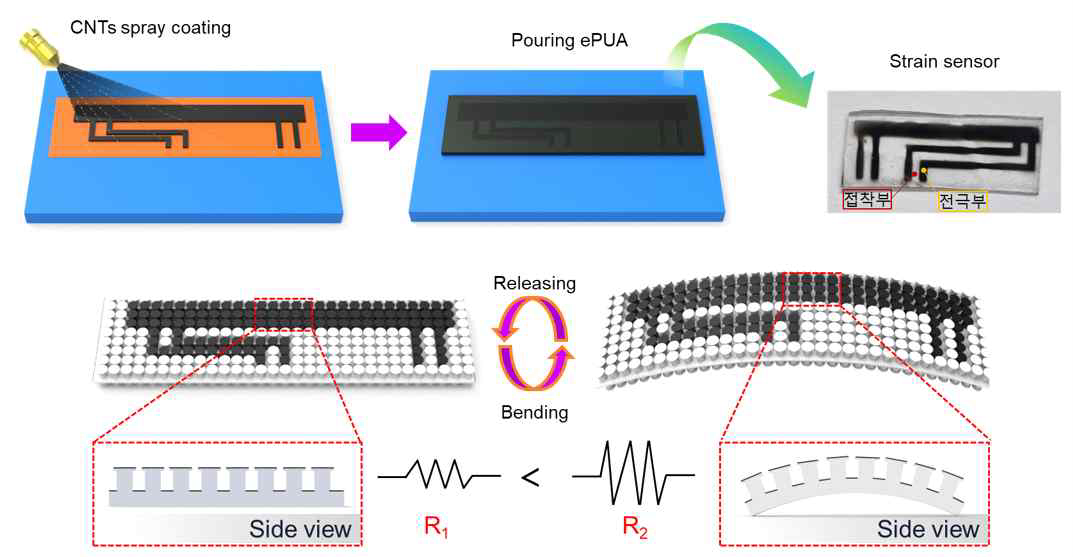 Strain 감지 기반 호흡 및 맥박 센서의 제작 과정 및 생체신호 감지 원리 모식도