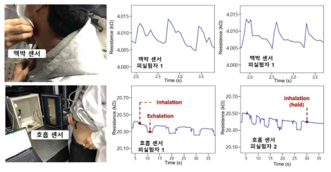 호흡∙맥박 센서의 신체 적용과 측정된 맥박 (상단), 호흡 (하단) 신호 그래프