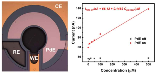 (좌) pH 조정용 Pd 미세 전극이 집적된 무효소 혈당 센서 사진. (우) 해당 센서를 이용한 1X PBS 중성 용액에서의 혈당 센싱 그래프 (붉은 점: pH 조정전극 사용시, 검은 점: pH 조정전극 미사용시)