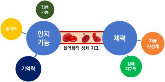 혈역학적 생체지표