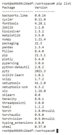 설치 사용한 pip list