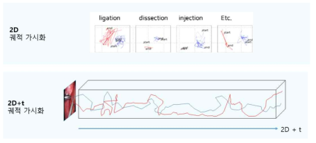 2D+t 영상기반 궤적 가시화