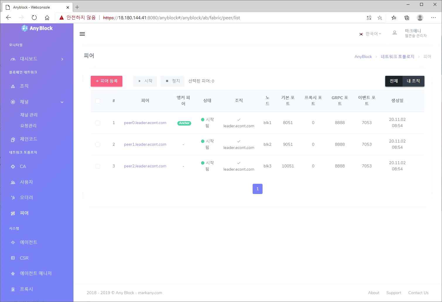 블록체인 네트워크 피어(노드) 구성 화면