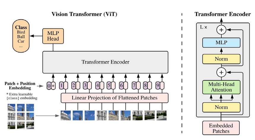 ViT 모델 overview