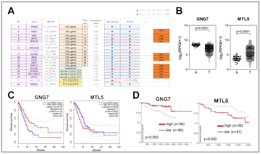 폐암 예후 관련 mRNA 바이오마커 발굴