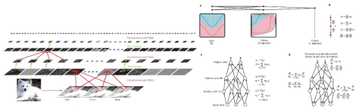 딥러닝(Deep learning) 알고리즘의 개요 (LeCun et al. Nature 2015) (2)