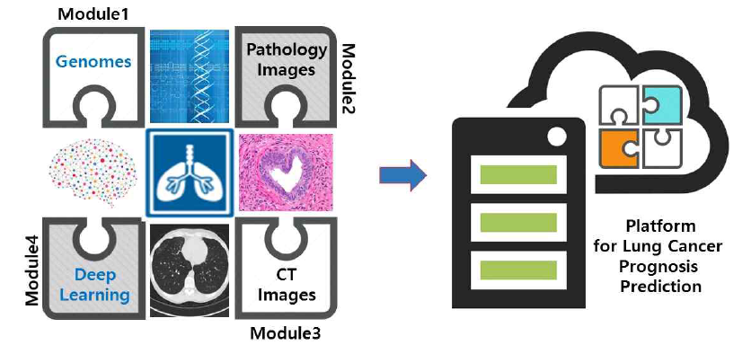 다중의료정보의 심층신경망 분석을 통한 폐암 환자 정밀 예후예측 서비스 개발 범위