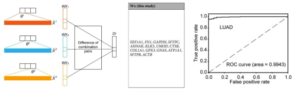본 과제에서 개발한 딥러닝 기반 Wx 알고리즘으로 lung adenocarcinoma(LUAD)를 포함한 12종의 암종을 정상조직과 높은 정확도로 구별할 수 있는 14개의 유전자 발현 바이오마커를 선별함(Park et al. Sci Rep 2019)