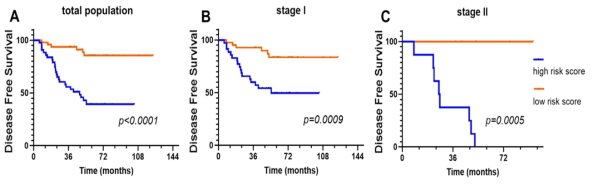 DeepRePath로 예측한 Stage I과 II 환자의 고위험군과 저위험군 예측에 따른 생존분석 결과(Shim et al. Cancers 2021)