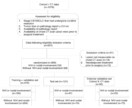 DeepCUBIT을 개발하기 위해 활용한 CT data criteria 및 scheme(Beck et al. Front Oncol 2021)