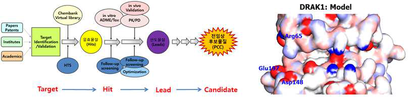 DRAK1 kinase 억제제 신약 후보물질 발굴