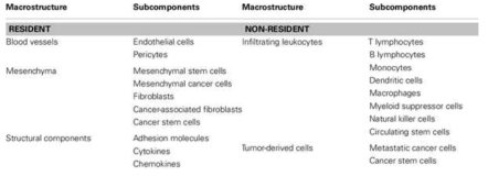 종양 미세 환경의 주요 구조 및 세포 구성 요소 (Schiavoni et al., 2013)