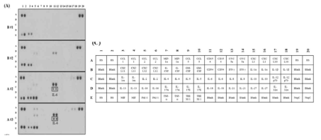 양성 및 악성 종양의 human cytokine array 결과 (S Kim et al., 2016)