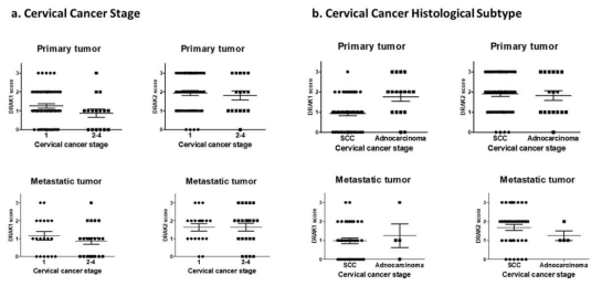 자궁경부암 병기와 조직학적 유형에 따른 DRAK1/2 발현 분석