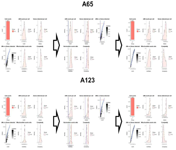 . 단일 세포 RNA 시퀸싱 결과 quality 확인