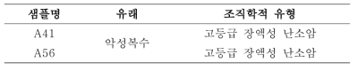 환자 샘플의 정보