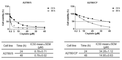 A2780과 A2780/CP 세포에서 농도별 백금제재 항암제에 대한 세포생존율