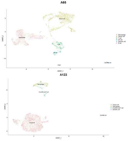 각 시료 별 세포 종류의 분포를 보여주는 UMAP plot