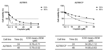 A2780과 A2780/CP 세포에서 농도별 백금제재 항암제에 대한 세포생존율