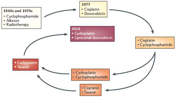 지난 50년간의 항암화학요법 변화