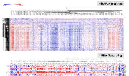 miRNA(위)와 mRNA(아래) Nanostring 분석