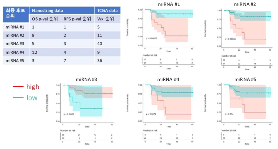 선정된 후보 miRNA 리스트 및 TCGA 폐선암 환자에서 생존률 비교