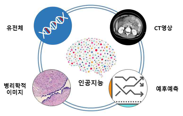 다중의료정보의 심층신경망 분석을 통한 폐암 환자 정밀 예후 예측 서비스 개요