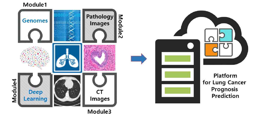 다중의료정보의 심층신경망 분석을 통한 폐암 환자 정밀 예후예측 서비스 개발 범위