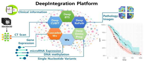 본 과제에서 개발한 DeepIntegration 플랫폼 개요