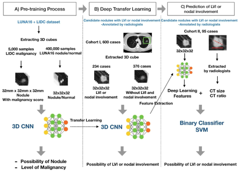 DeepCUBIT 딥러닝 모델 개발에 사용한 Transfer Learning 전략(Beck et al. Front Oncol 2021)
