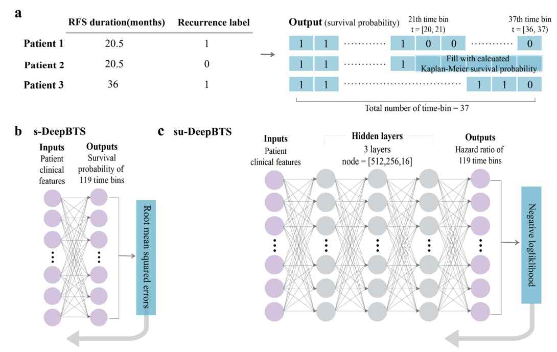 DeepBTS 모델의 구조(Lee et al. Sci Rep 2020)