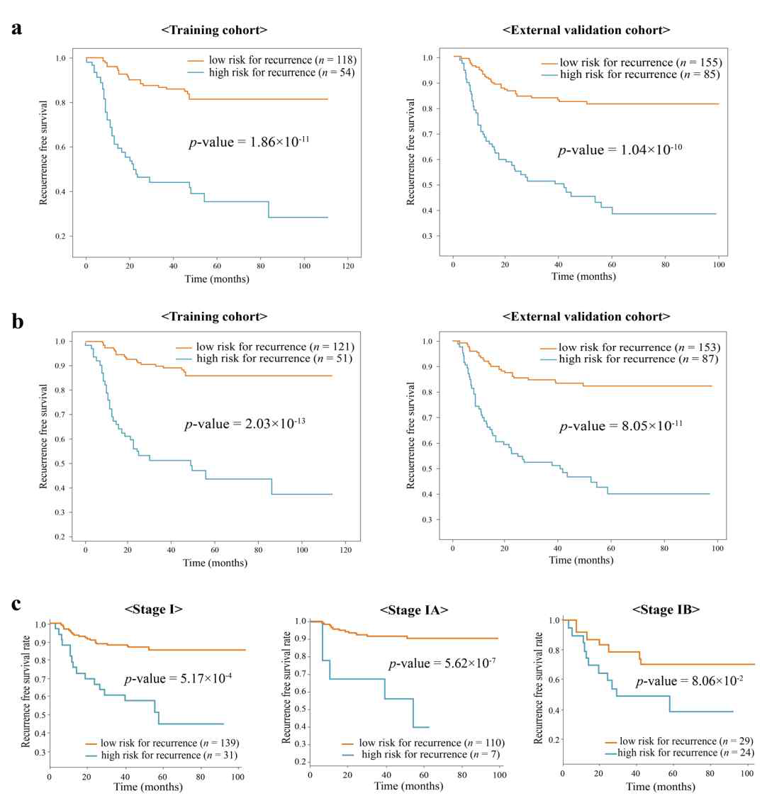 DeepBTS 모델로 예측한 환자군을 기준으로 Kaplan-Meier 생존분석을 진행한 결과(Lee et al. Sci Rep 2020)