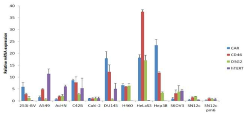 각 세포주에서 receptor 별 basal mRNA expression level