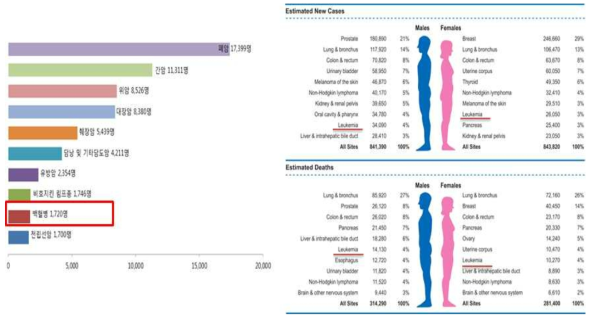 2015년 국내 암종별 사망자 수(좌) 및 2016 미국 성별 주요 암 발생률 및 사망률(우)