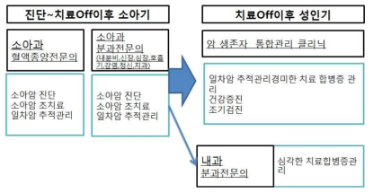 한국 소아암 생존자 관리 모델: 전문가 역할