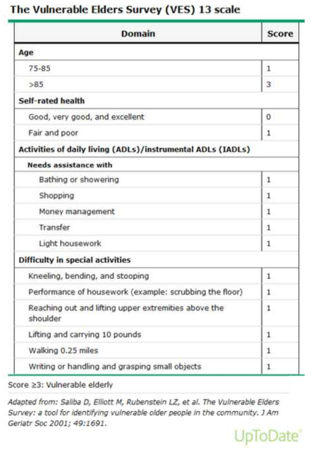 Vulnerable Elders Survey(VES) 13 scale