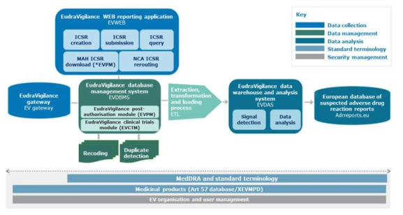 유럽의 EudraVigilance system 내 이상사례(부작용) 보고 처리도