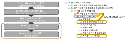 이상사례 및 적응증 MedDRA 코드 정규화를 위한 용어 층위 결정 규칙 모식도