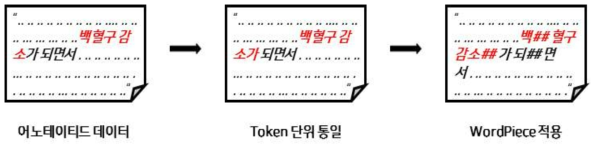 token 단위 통일 프로세스: 데이터의 token 단위를 통일하고 WordPiece를 적용