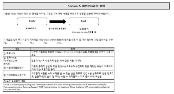 Section A: 1번 문항