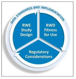 미국 RWD/RWE 고려사항 (출처: Framework for FDA’s Real-World Evidence Program)