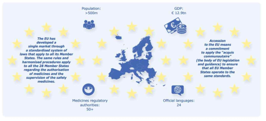 유럽의 주요 현황 (출처: EMA, The European regulatory system for medicines, 2016)