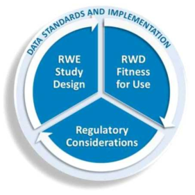 미국 RWD/RWE 고려사항