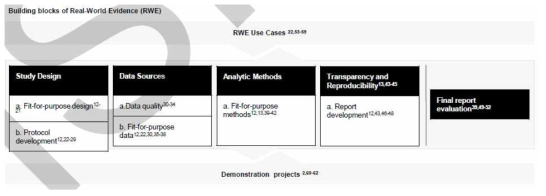 RWE 구축 요소 (출처: Jaksa, et al., 2021)