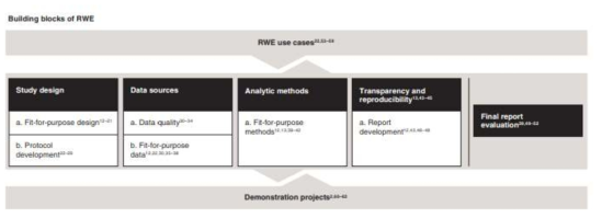 RWE building blocks (출처: Ashley et al, J. Comp. Eff. Res(2021))