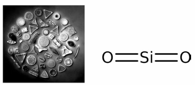 다양한 형태의 실리카 및 실리카의 화학적 구조식