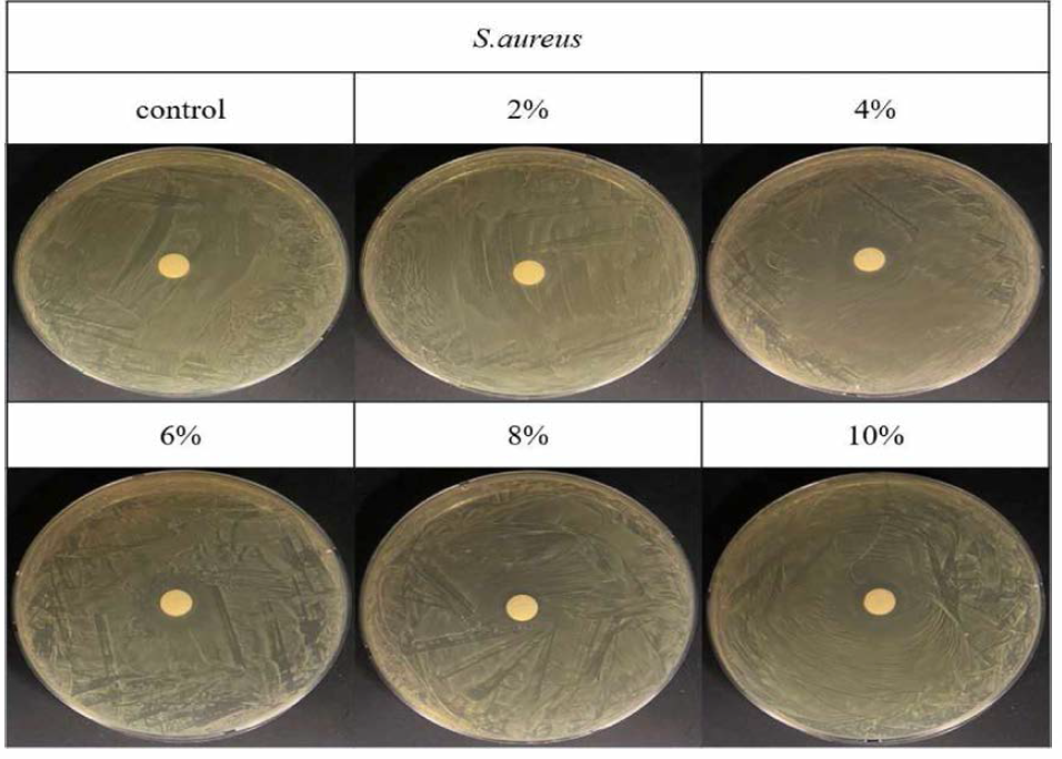 담지된 셀라이트의 S. aureus에 대한 항균 효과