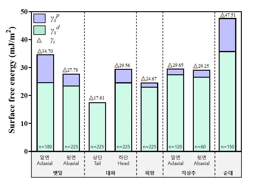 다섯 가지 식품 표면의 총 자유 에너지(γs)와 친수성 표면 자유에너지(γsp) 및 소수성 표면 자유에너지(γsd). n=최대 여섯 가지 액체를 이용하여 접촉각을 측정한 총 횟수