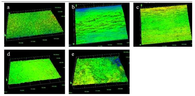 다섯가지 식품 표면(1280 x 960 ㎛)의 3차원 미세구조. (a) 깻잎, (b) 대파 상단, (c) 대파 하단, (d) 피망, (e) 순대. 미세구조 돌출부 높이가 높을수록 빨강으로, 낮을수록 파랑색으로 표시됨